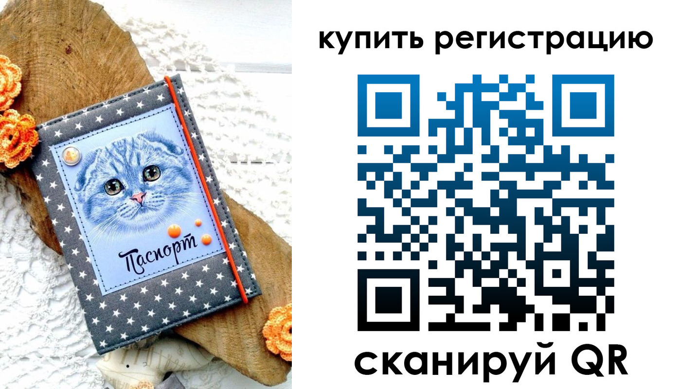 прописка законно в Новосибирске